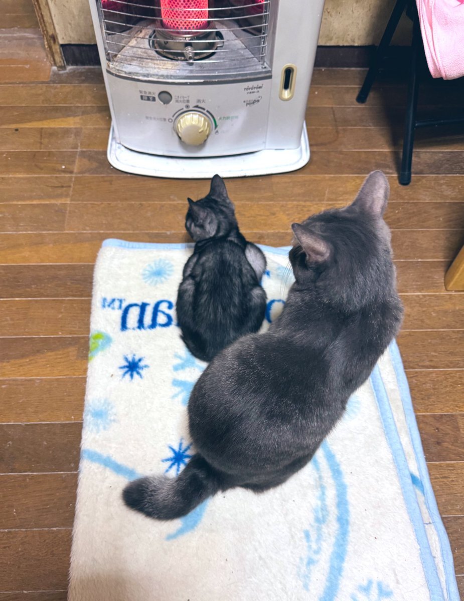 雨の日の過ごし方は？