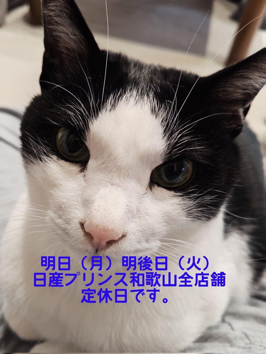 12月突入！ 今年もあとわずか、ユーザーは年末年始に向けての気持ち投稿 