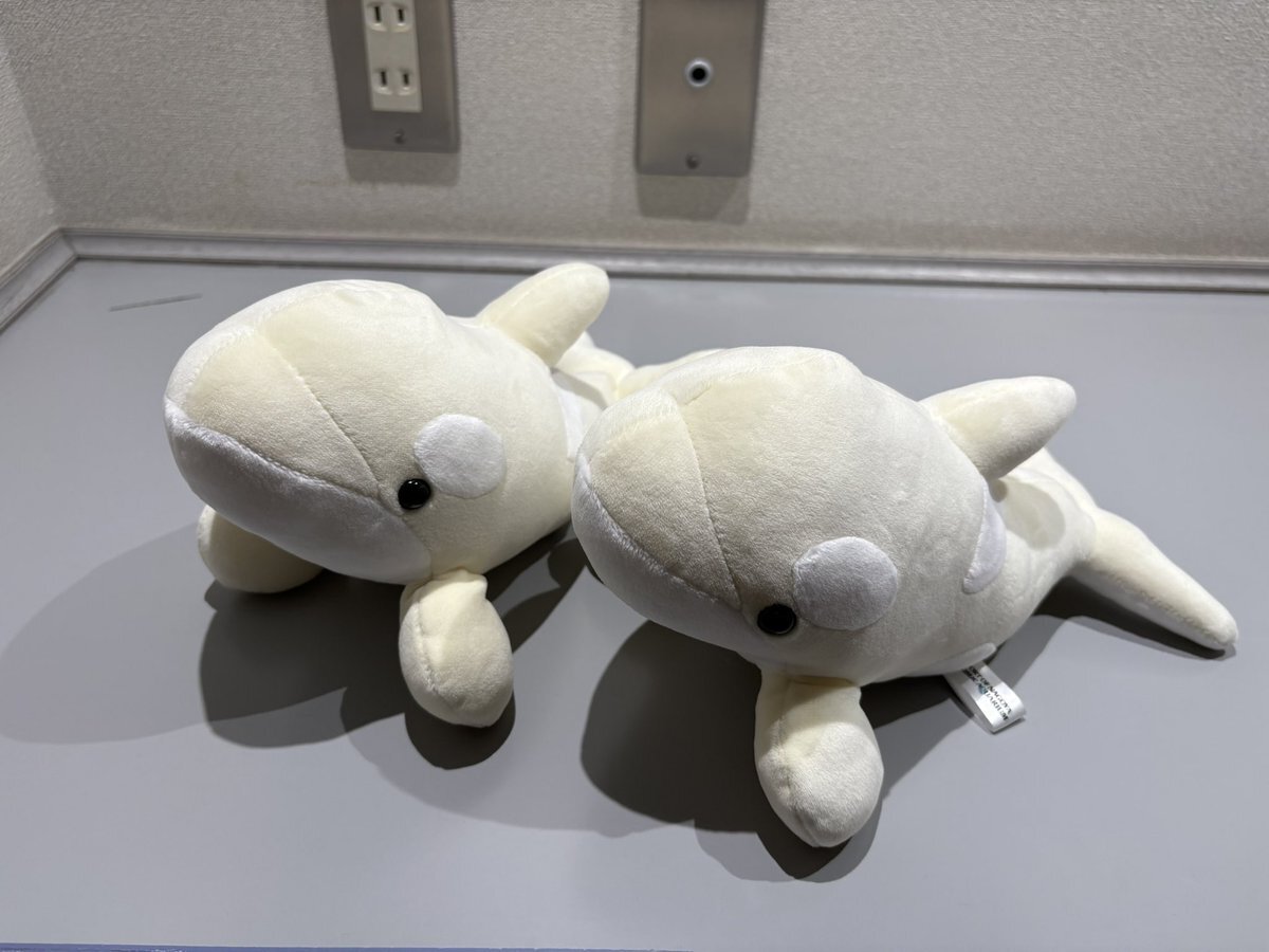 名古屋港水族館 ぬいぐるみくじ」のYahoo!リアルタイム検索 - X