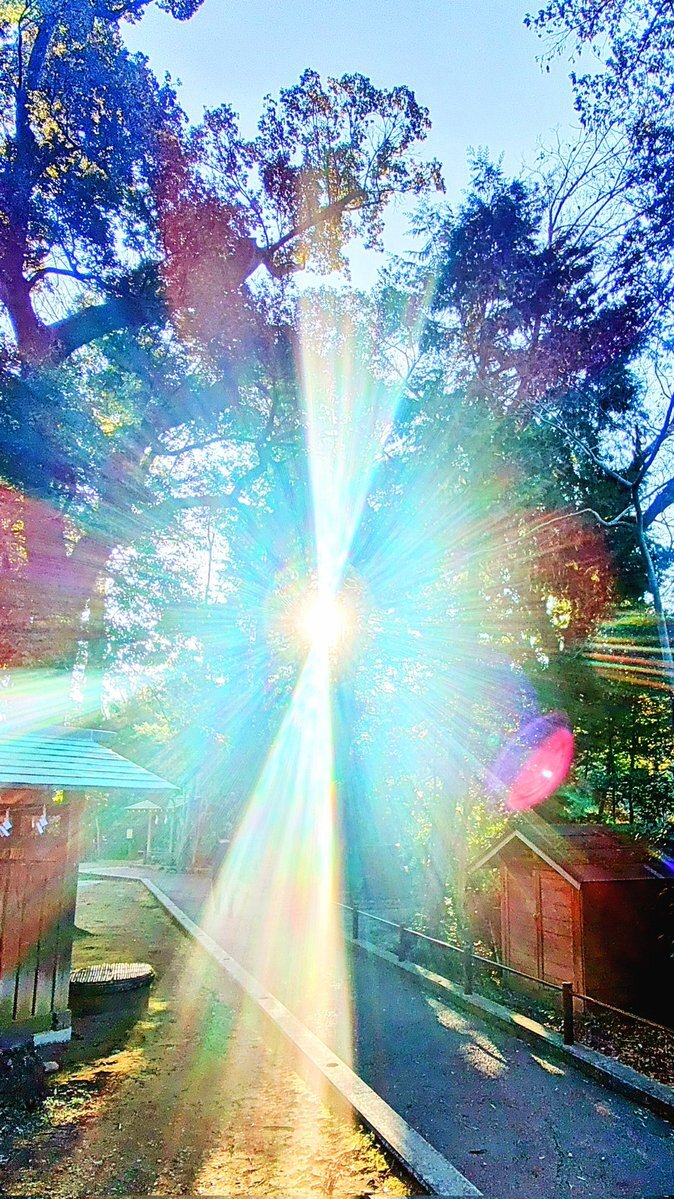 恵みの雨に喜びの声　SNSで「乾燥が潤う」