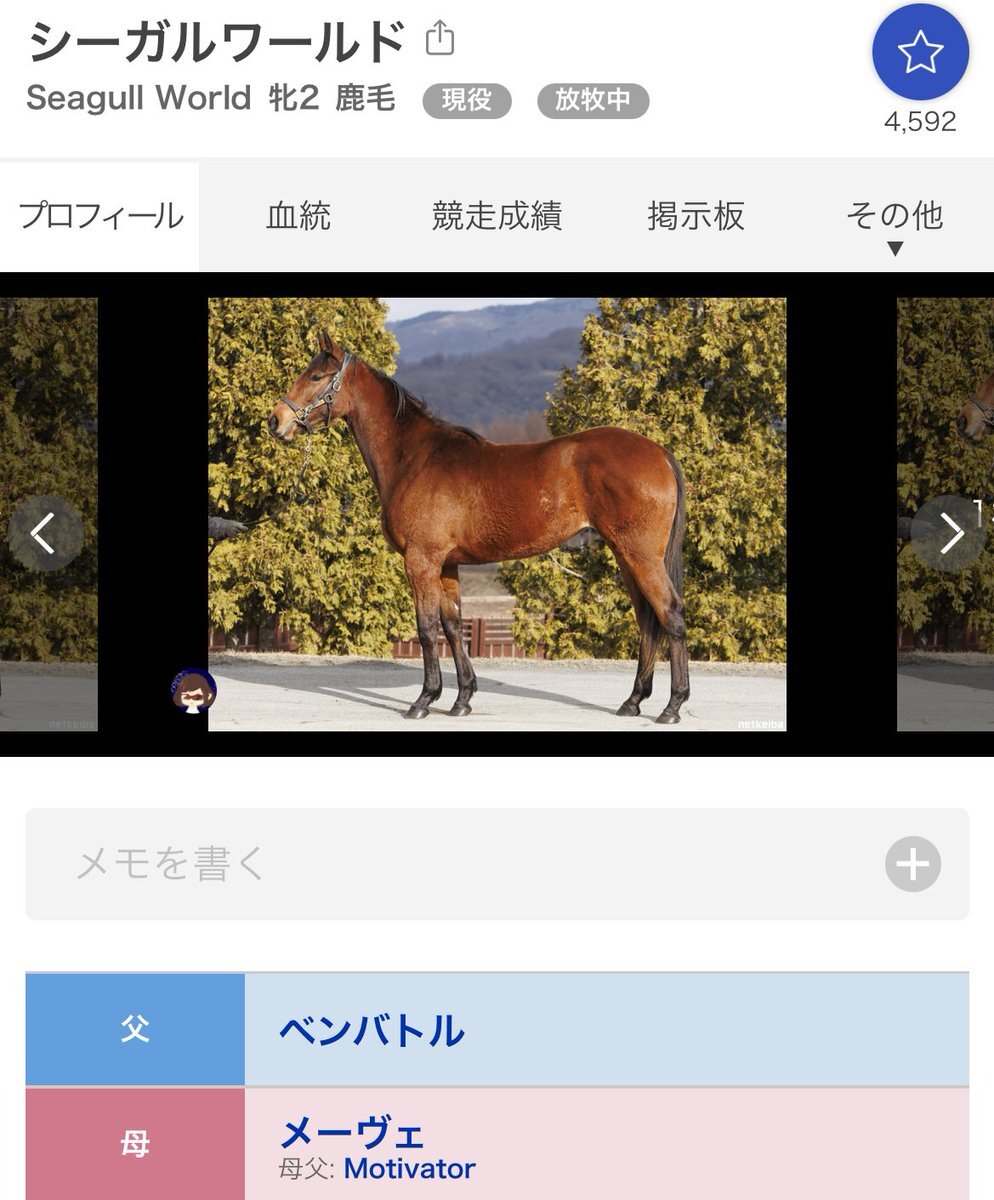 ベンバトル産駒コロナドブリッジ、エリカ賞でJRA特別初勝利！