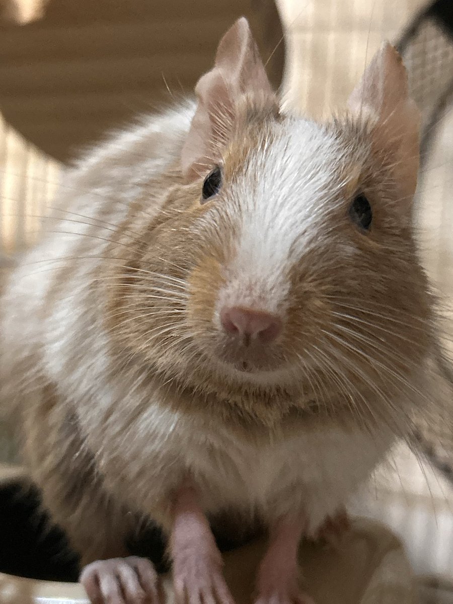 東北地方で地震発生 津波注意報発令、避難呼びかけ