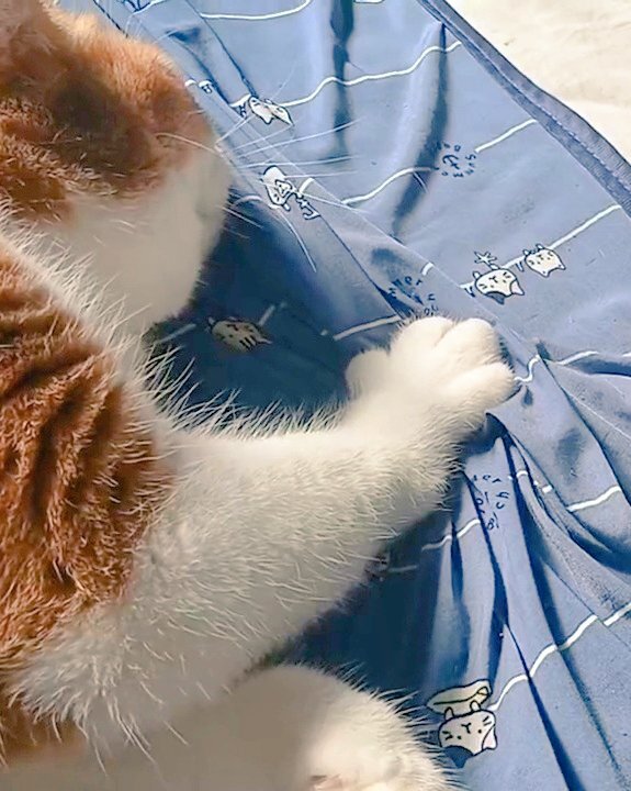 John Elliott_ボンバージャケット_黒_3サイズ_星野源_未使用に近い Ron Herman - 美品 星野源さん愛用 ロンハーマン ジョン