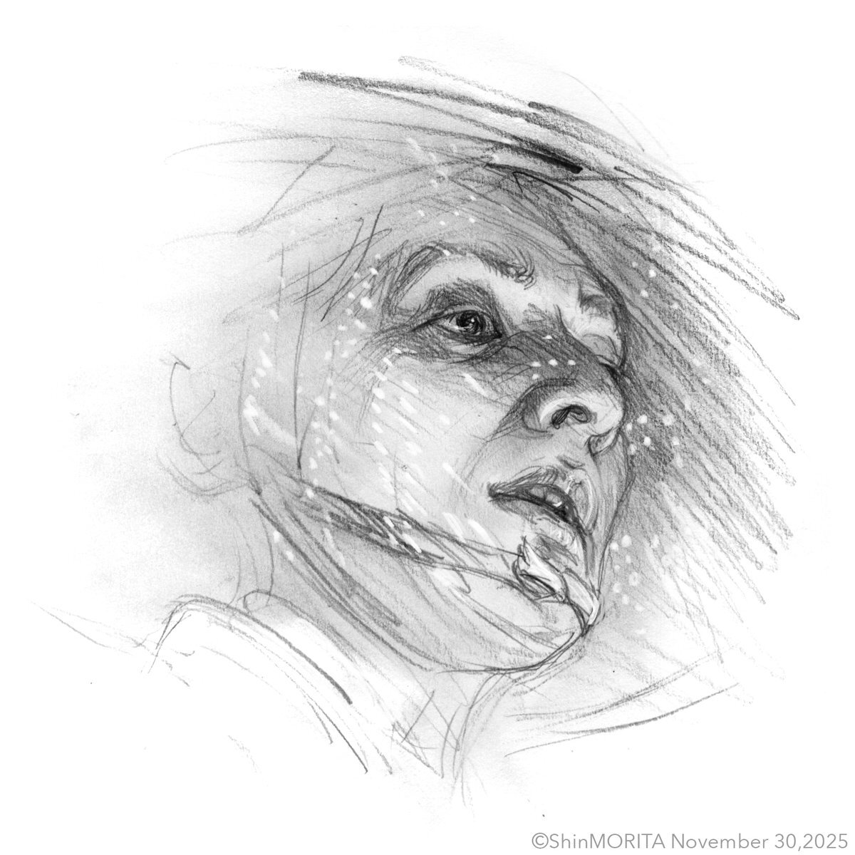 「大河べらぼう」生田斗真演じる治済そっくりな「立派な鼻の侍」に視聴者興奮！