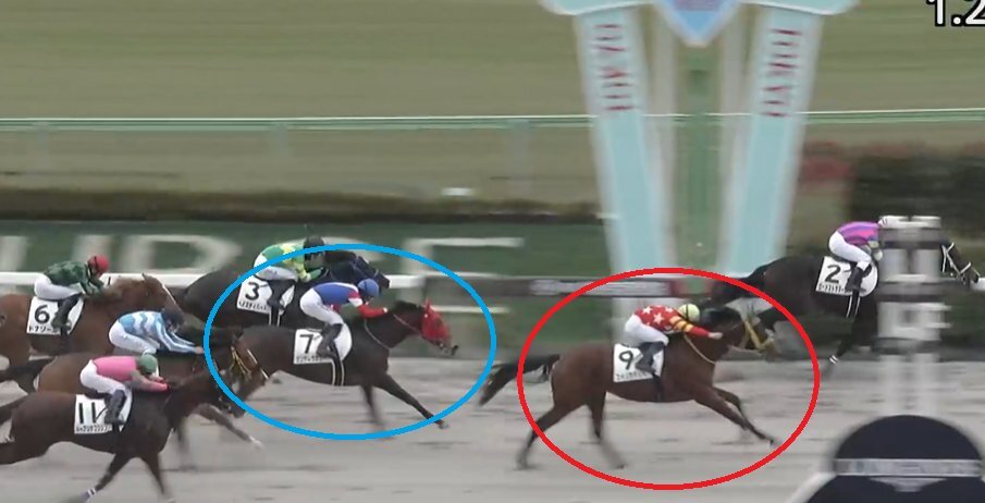 シンデレラカラー、東京1Rで3着！ファン興奮の好走