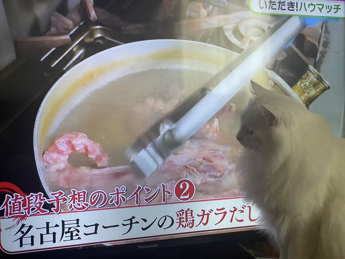 深澤辰哉が食べた親子丼、どんな味だった？