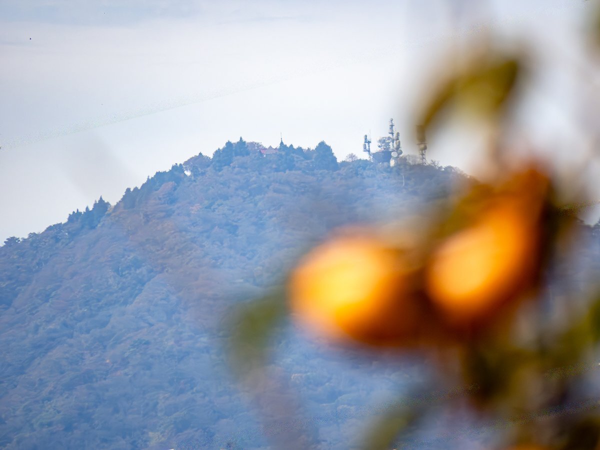 DeNAから巨人へ！石井琢朗監督就任の理由とは？