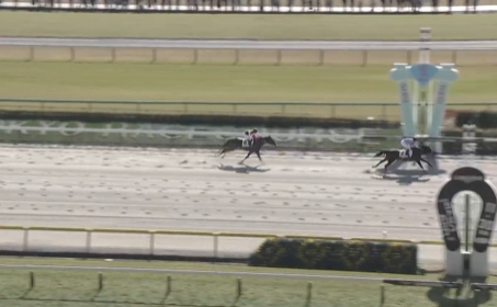 ペアレンツギフト、好脚見せ2着！ファン期待高まる