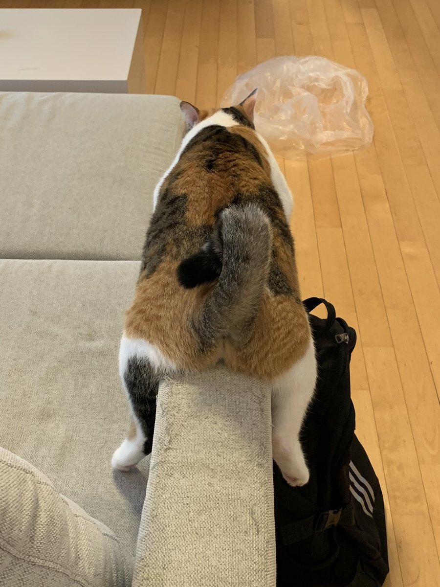 村上真都ラウール」のYahoo!リアルタイム検索 - X（旧Twitter）を