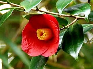 世界人権デー：SNSで人権尊重の大切さを呼びかける