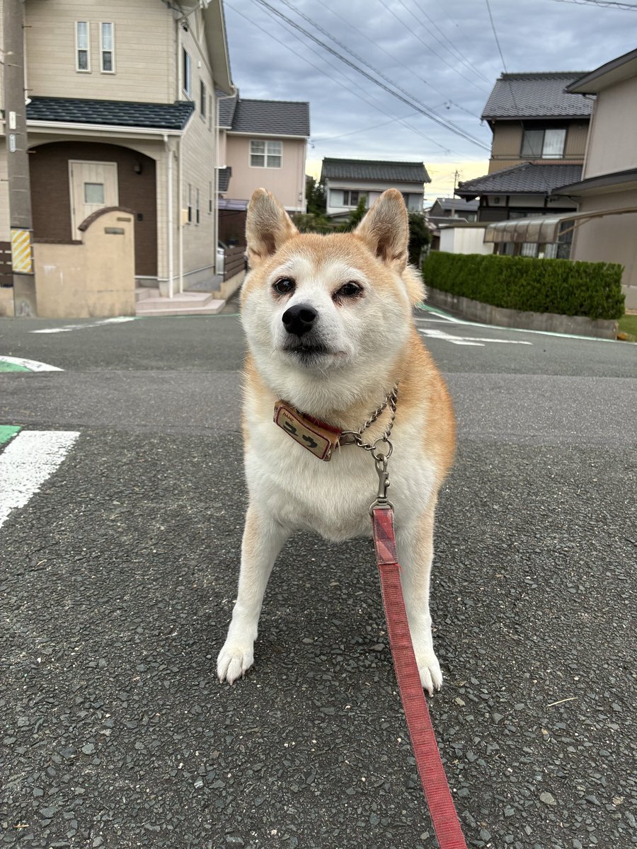気温が低い日は、どんな服装がいい？