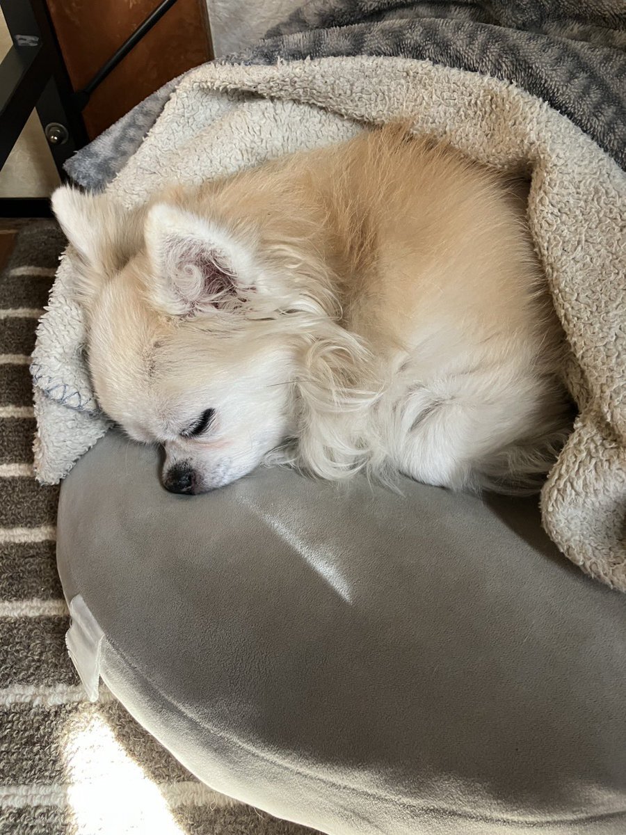 細川成也選手の昇給、使い道は？