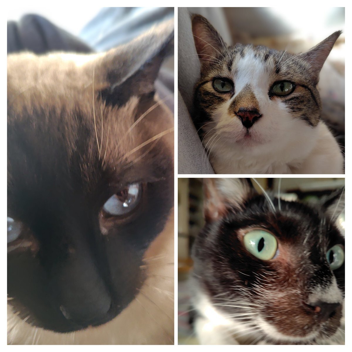 週末の始まりを告げるSNS投稿たち 