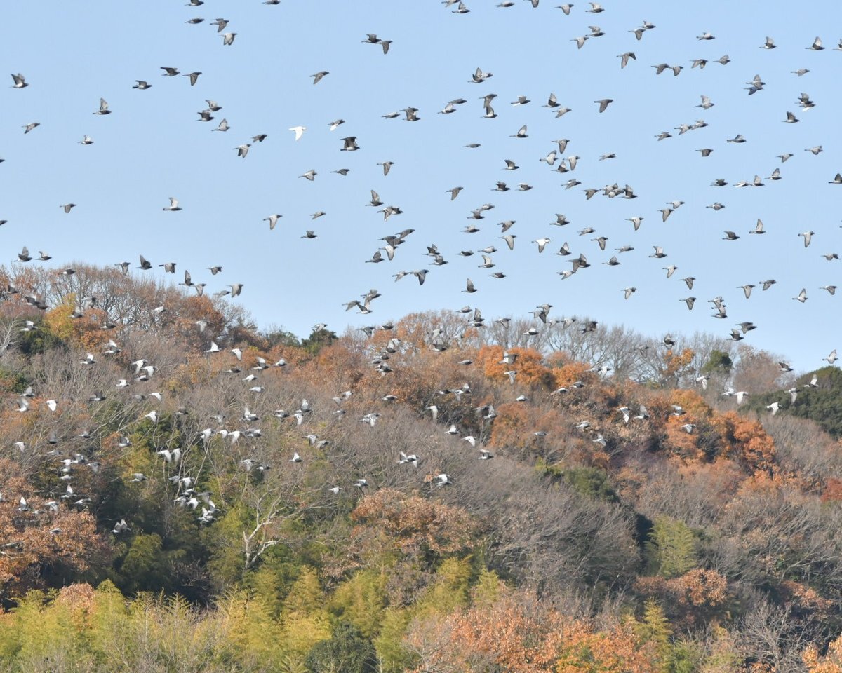 VTuberが12月半ばを迎え、年末に向けて準備開始！ 