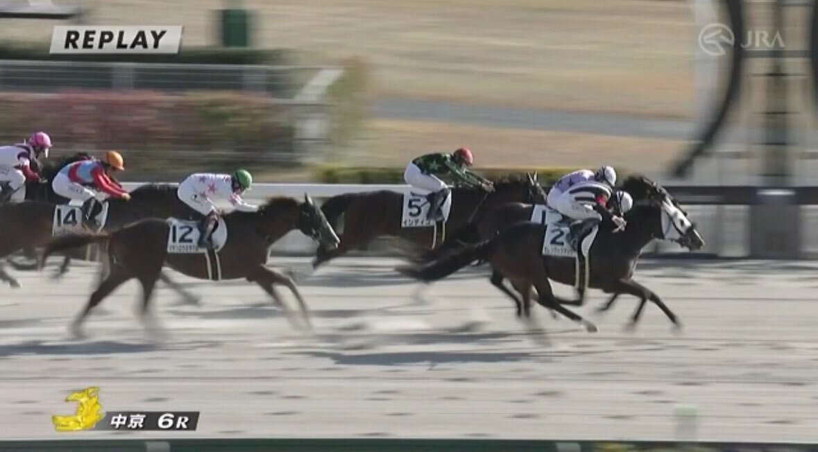 カレンワッツアップ、大外差し切りで勝利！中京ダートの波乱予兆？