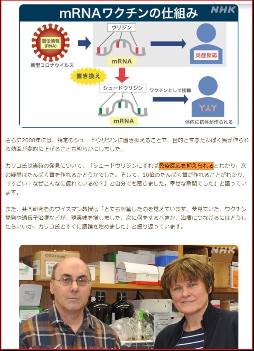 株式トークン、仮想通貨市場急落、社会問題が報道される