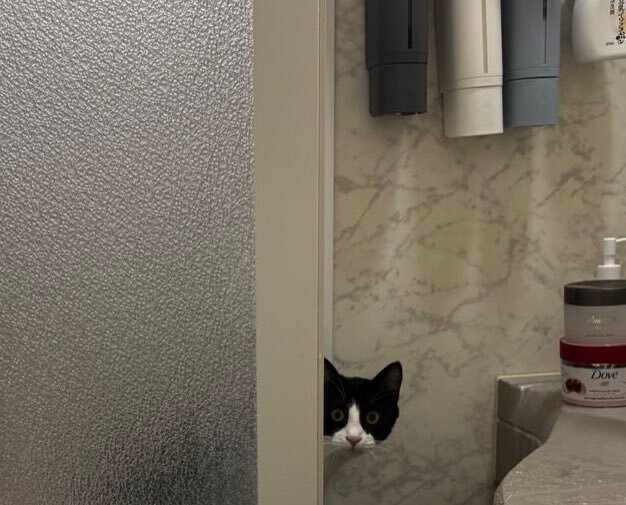 サンドイッチマン WP9706650 : Whirlpool Stand Mixer Speed Control Assembly