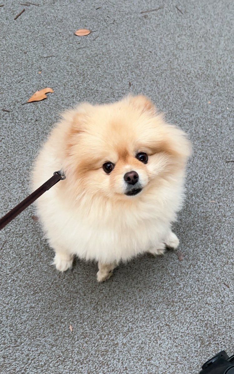 今年最後の3連休、SNSで喜びの声続々