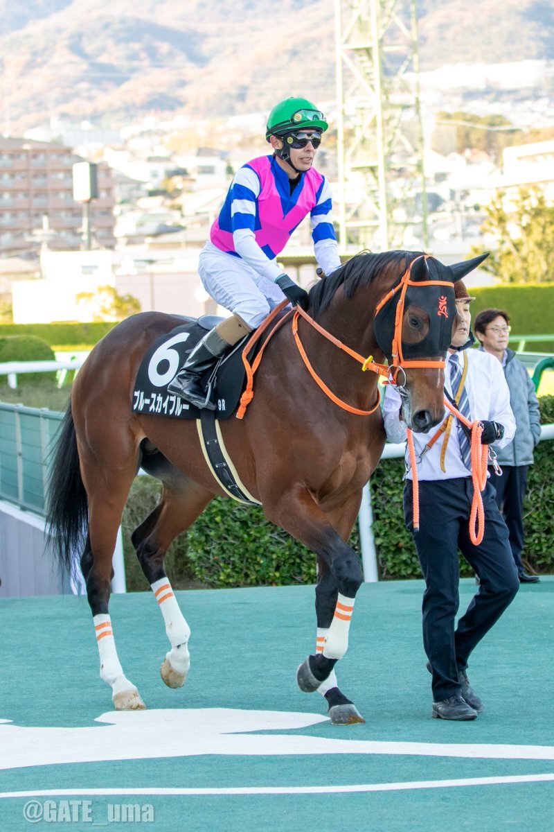 ブルースカイブルー、エリカ賞4着！ファンは「まだまだ成長が見込める」と期待