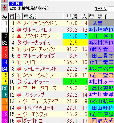 ヴォーカライズ、阪神2Rで初勝利！予想通りとファン歓喜