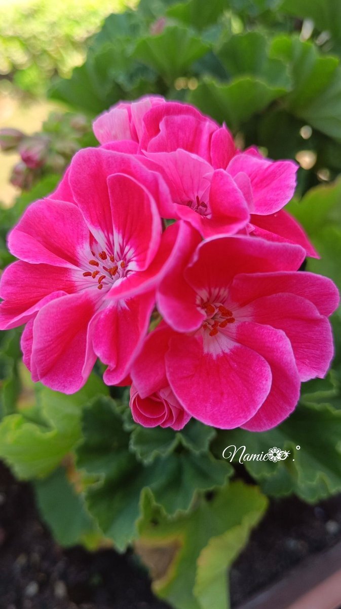 体調不良が流行？SNSユーザーが「お気をつけて」の声