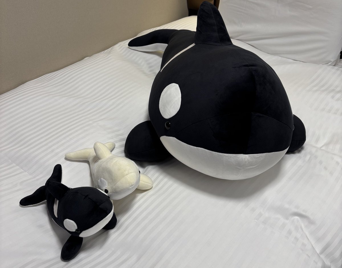 バラ売りOK 名古屋港水族館 シャチくじ 3等 黒 バラ売りOK 名古屋港水族館 シャチくじ 3等 黒 バラ売りOK名古屋港