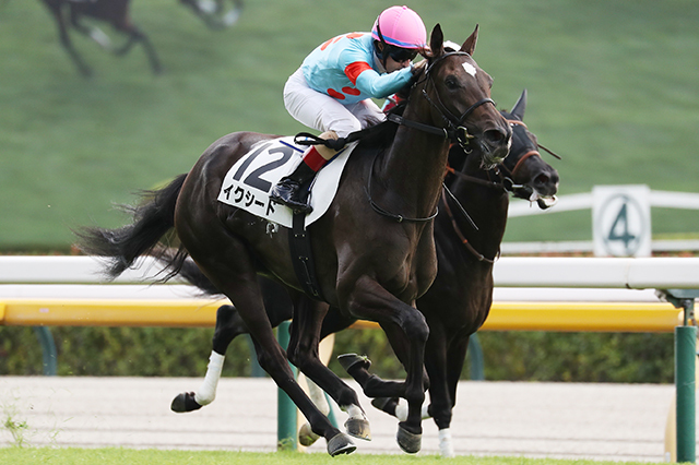 イクイノックス　実使用　調教　蹄鉄　鬣　一本付き　② イクイノックス 実使用 調教 蹄鉄 鬣 一本付き ② イク