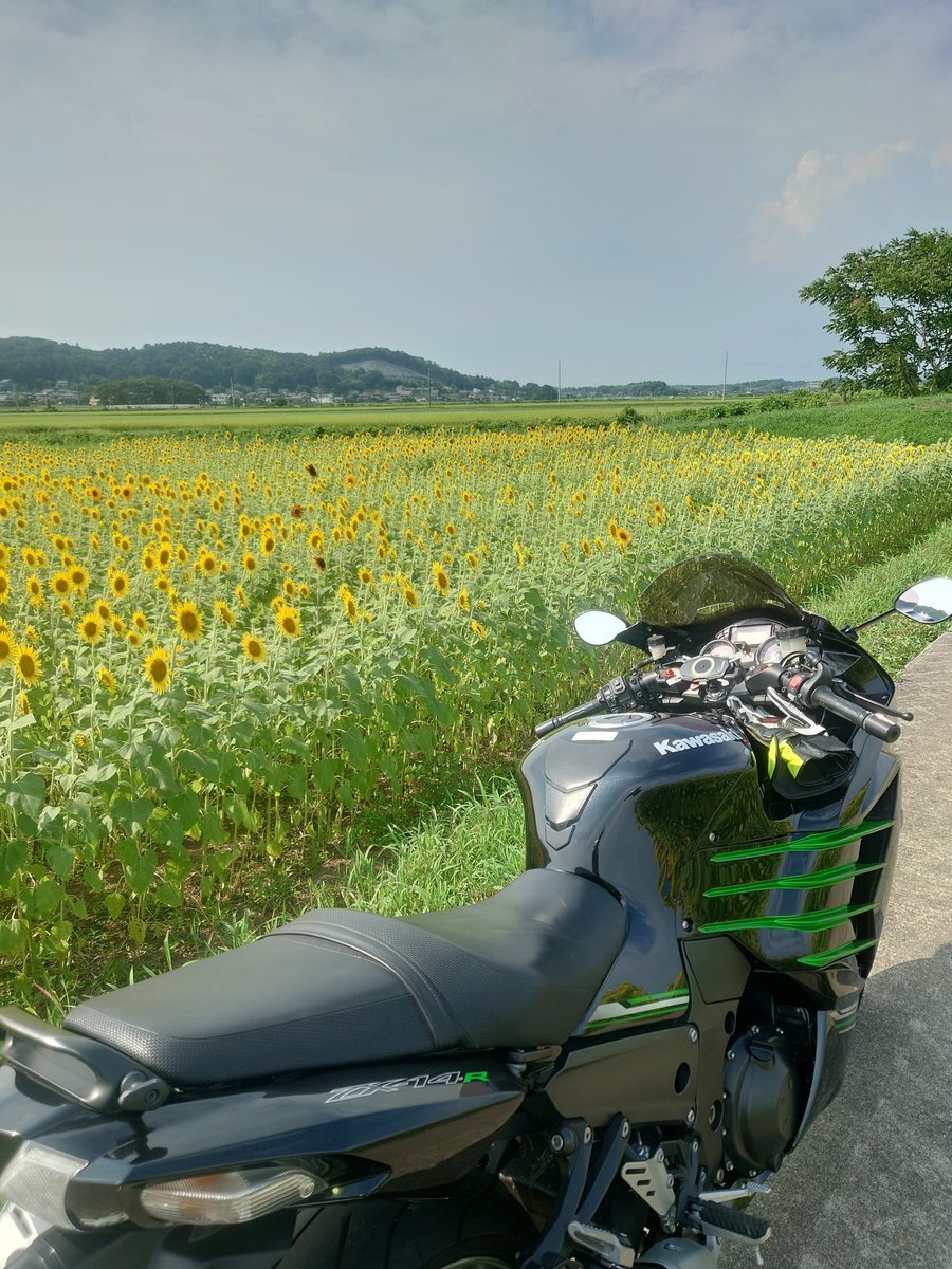 zx14r」のYahoo!リアルタイム検索 - X（旧Twitter）を