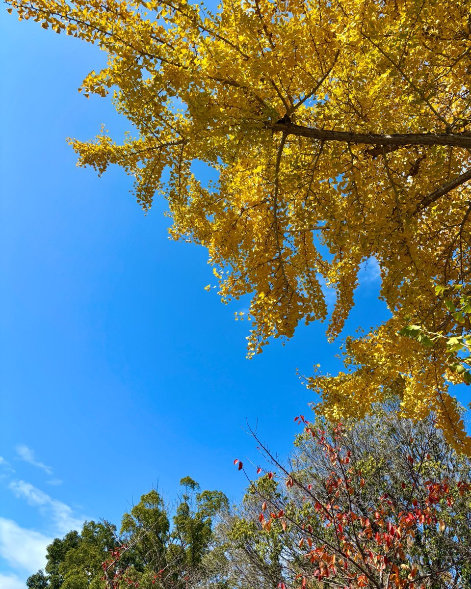 航空自衛隊」のYahoo!リアルタイム検索 - X（旧Twitter）を