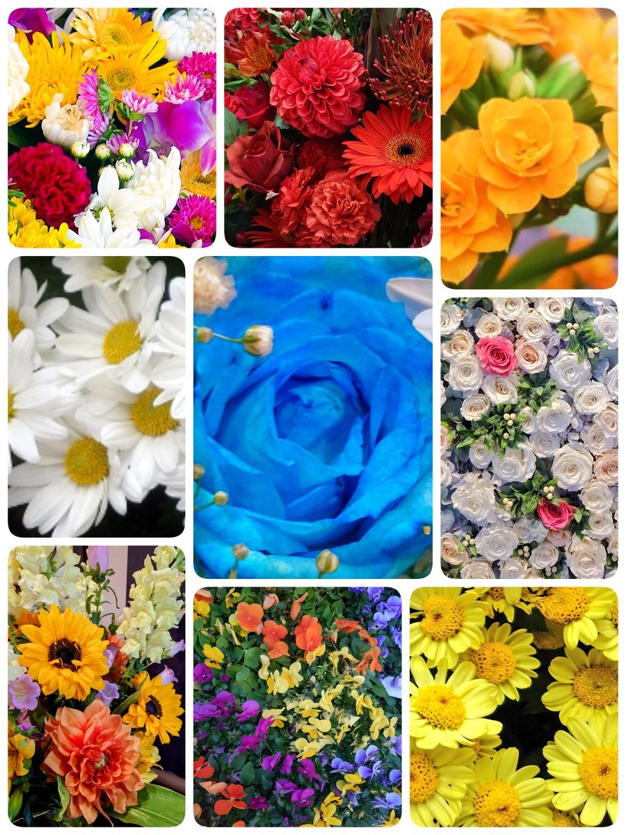 週末の楽しみ！ 11月21日のSNS投稿で連休気分