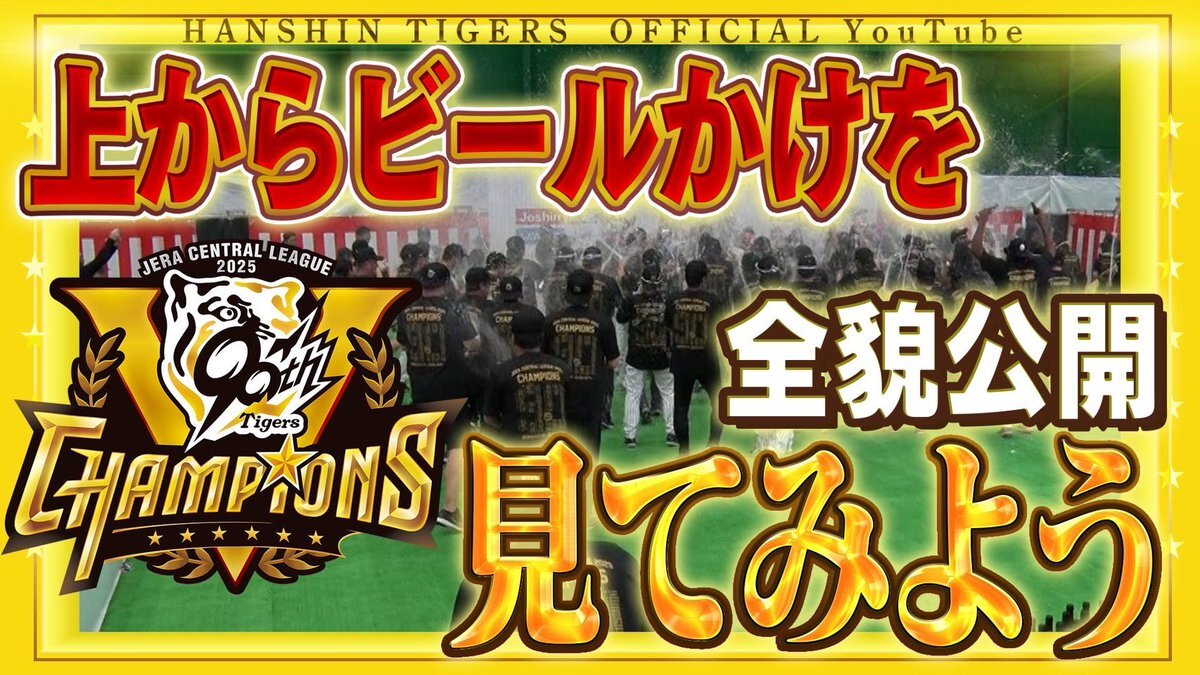 要問合わせ♥️レア♥️本物みたい！ディスプレイ　トラ　タイガー　タイガース 阪神タイガース🐯 - البحث / X
