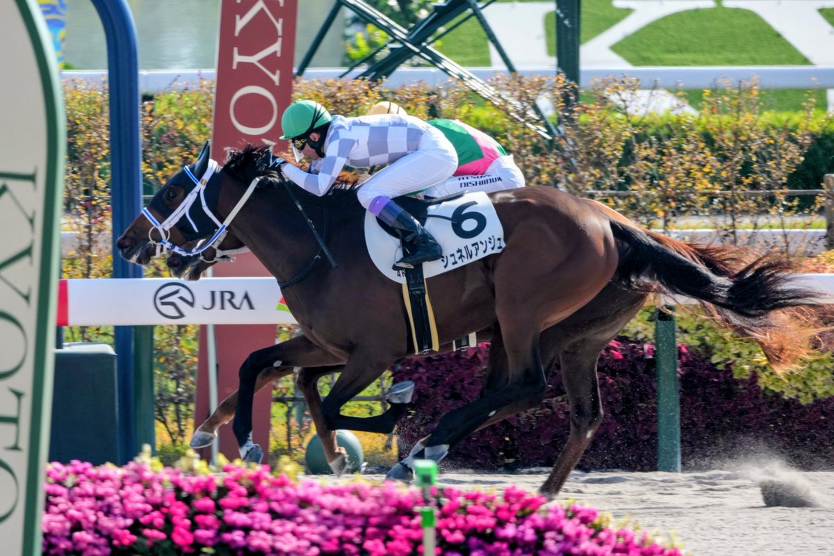 シュネルアンジュ、デビュー戦で圧巻の差し切り勝利！