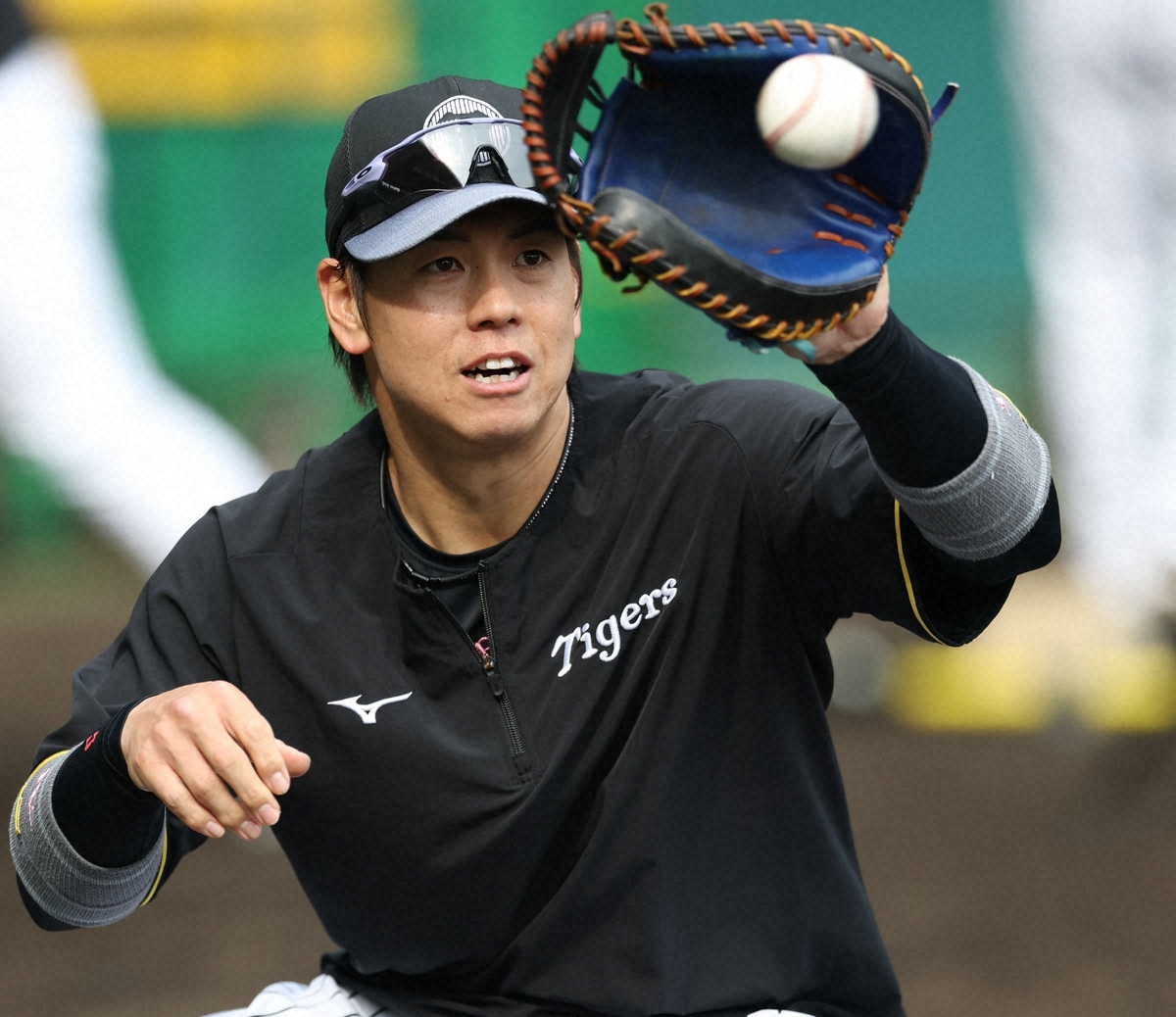 梅野隆太郎選手、阪神残留！来季の活躍に期待