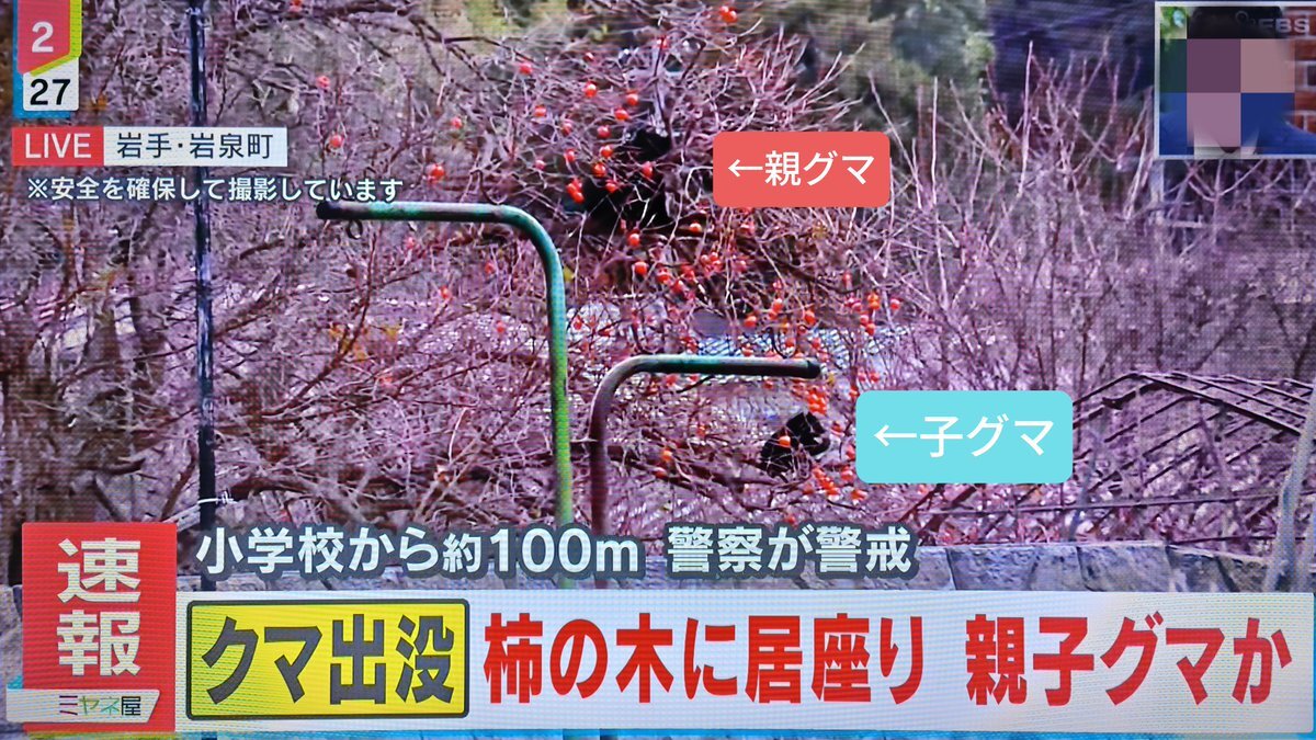 ミヤネ屋で日中関係と民泊問題が議論に