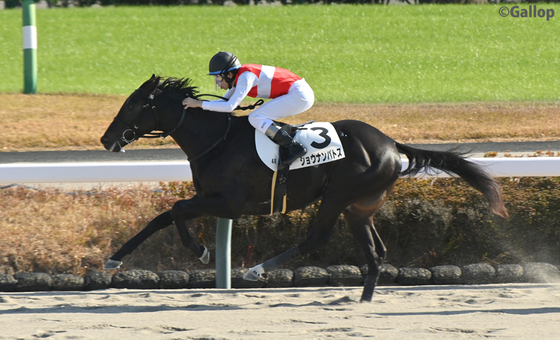 ショウナンパトス、初ダートで圧勝！横山和生騎手3連勝