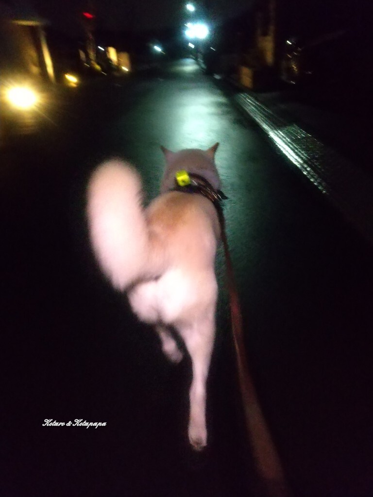 風強い！SNSでユーザーが様々な反応