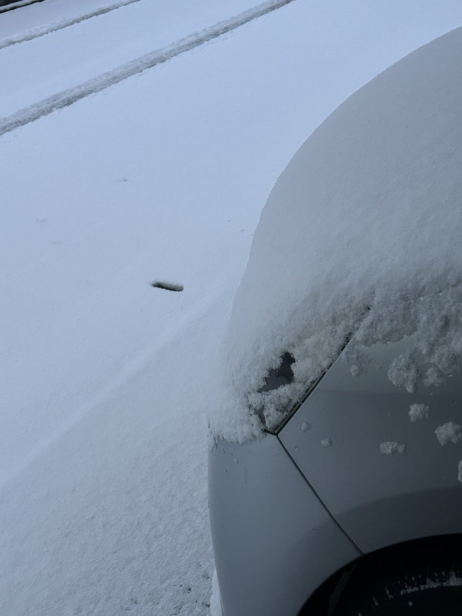 初雪は思ったより積もらなかった！ 