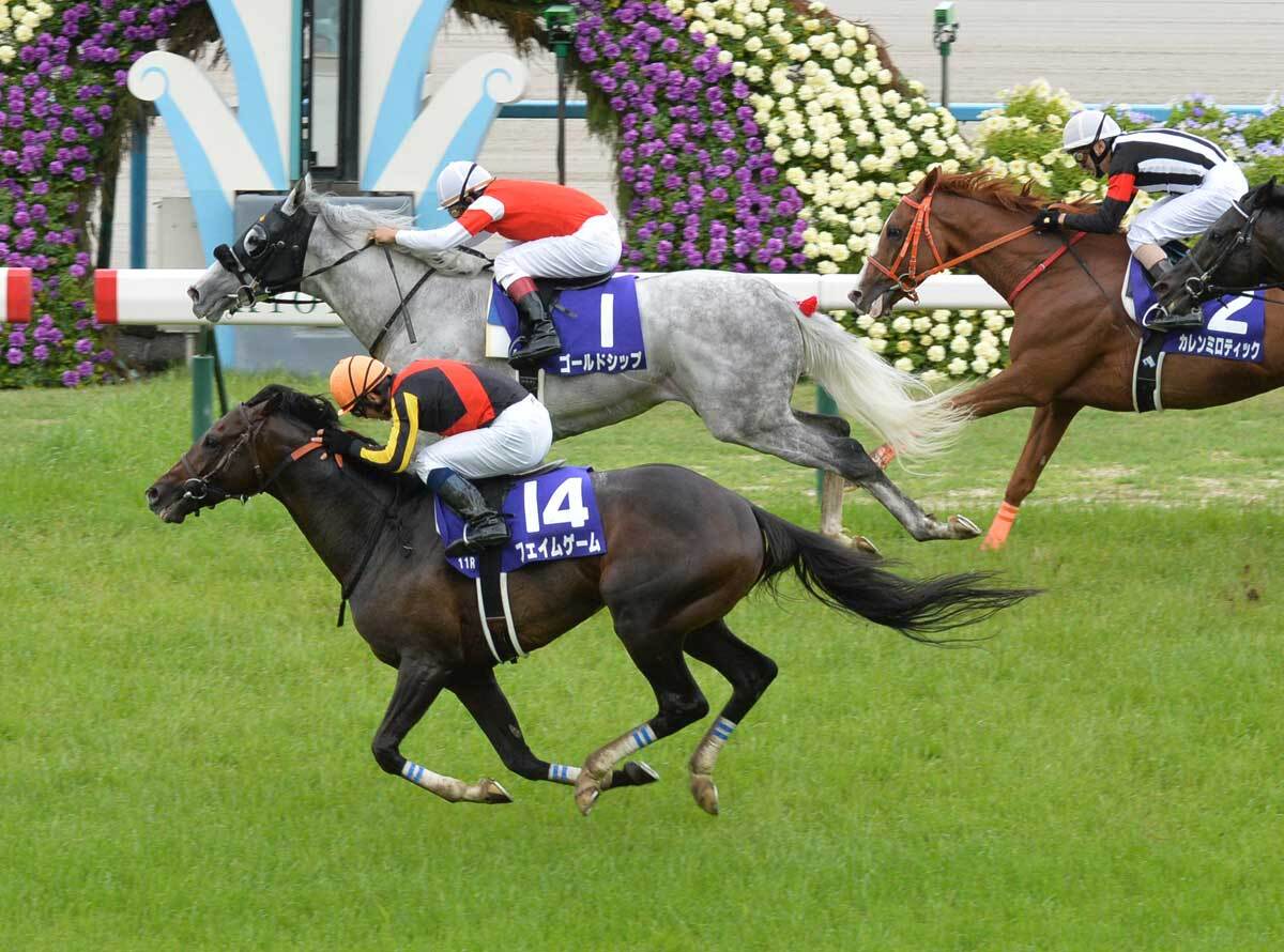 フェイムゲーム、笑ってコラえてで引退後の姿に感動の声