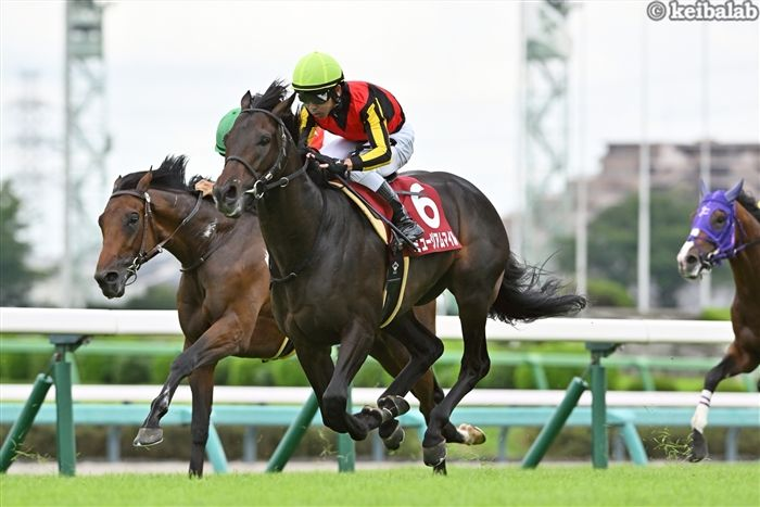 ミュージアムマイル、天皇賞秋でデム次郎と再コンビ！