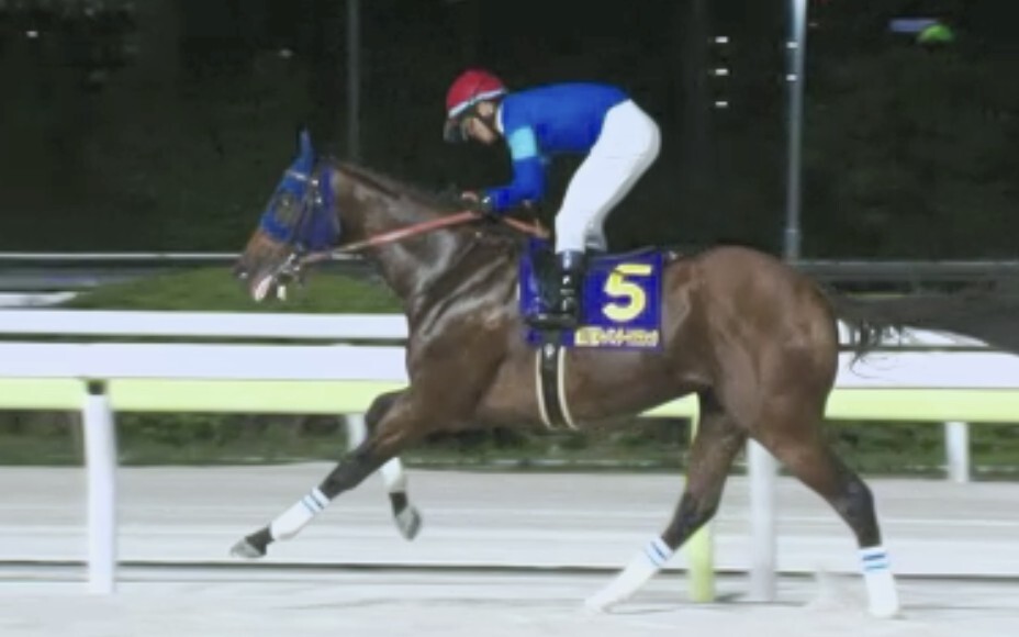 ナルカミがジャパンダートクラシック制覇！