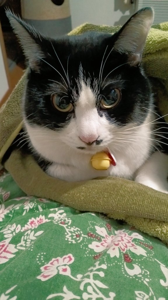 地震発生にSNSユーザーが安全確認と祈りを