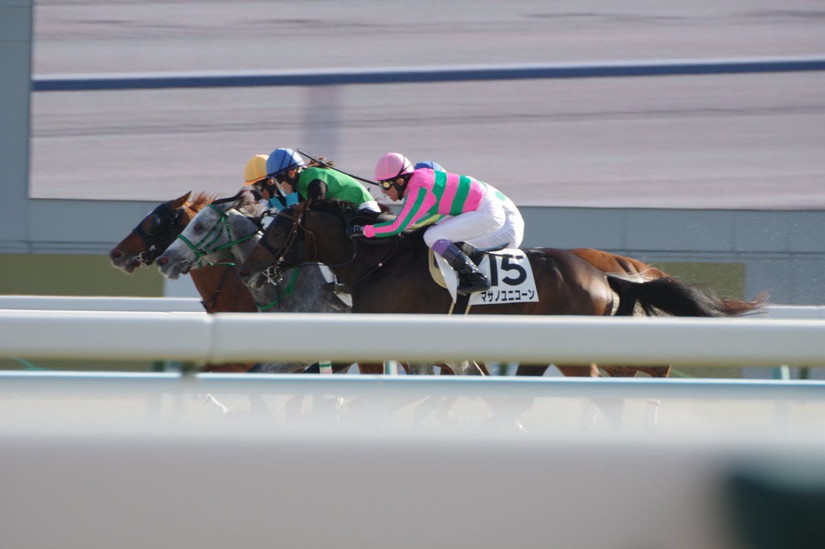 岩田康誠騎手、トリリオンボーイで圧巻のイン突き差し切り勝ち！ 