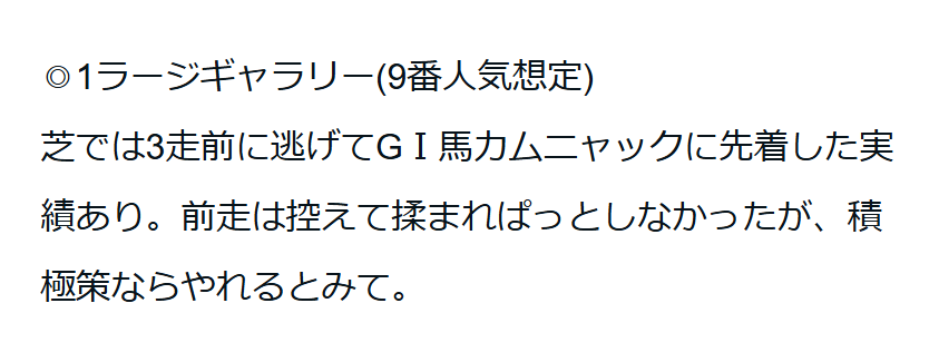 ラージギャラリー、予想外の逃げ切りVで注目を集めた！