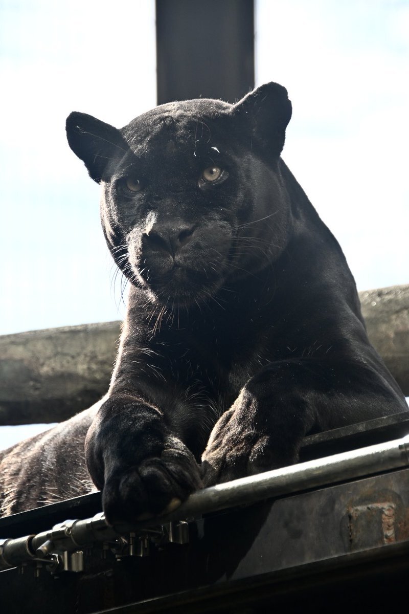 小梅」のYahoo!リアルタイム検索 - X（旧Twitter）を