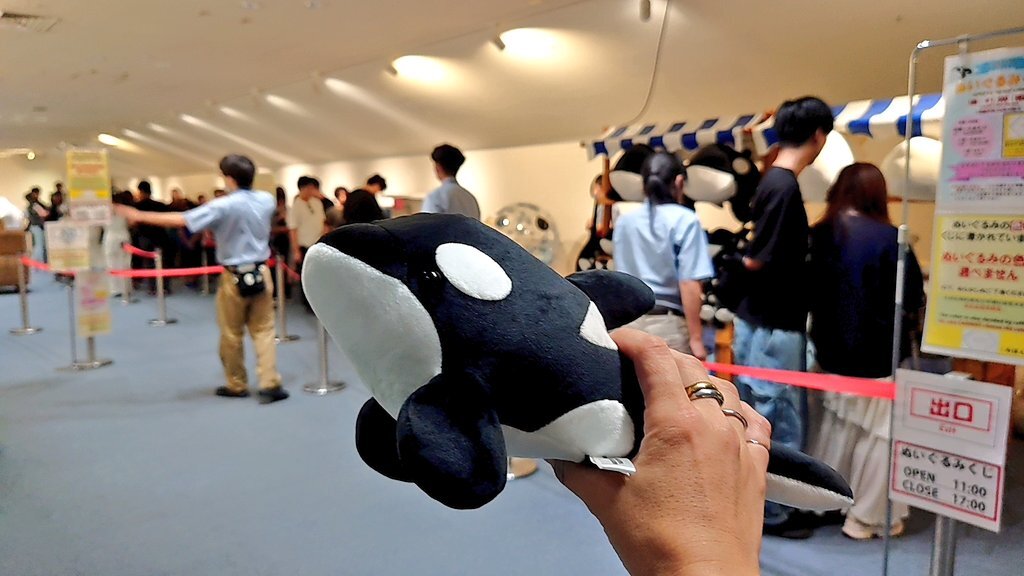 名古屋港水族館 アース くじ ぬいぐるみ 特賞 名古屋港水族館 シャチ ぬいぐるみくじ - ぬいぐるみくじ発見紀