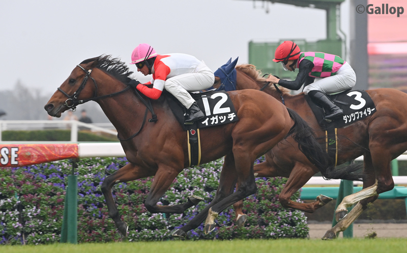 イガッチ、中山9R霞ヶ浦特別で勝利！ファン歓喜
