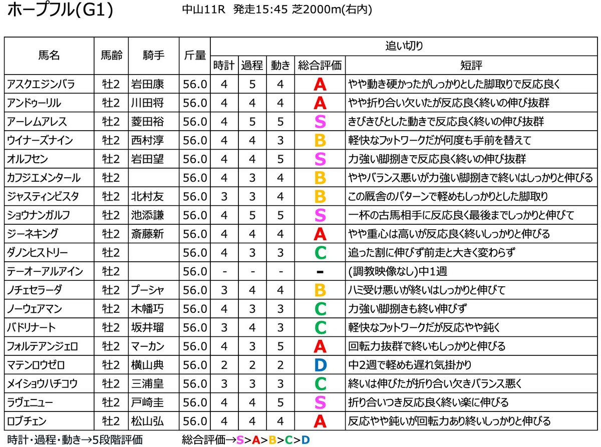 アンドゥーリル、ホープフルSで勝利なるか？期待の声多数