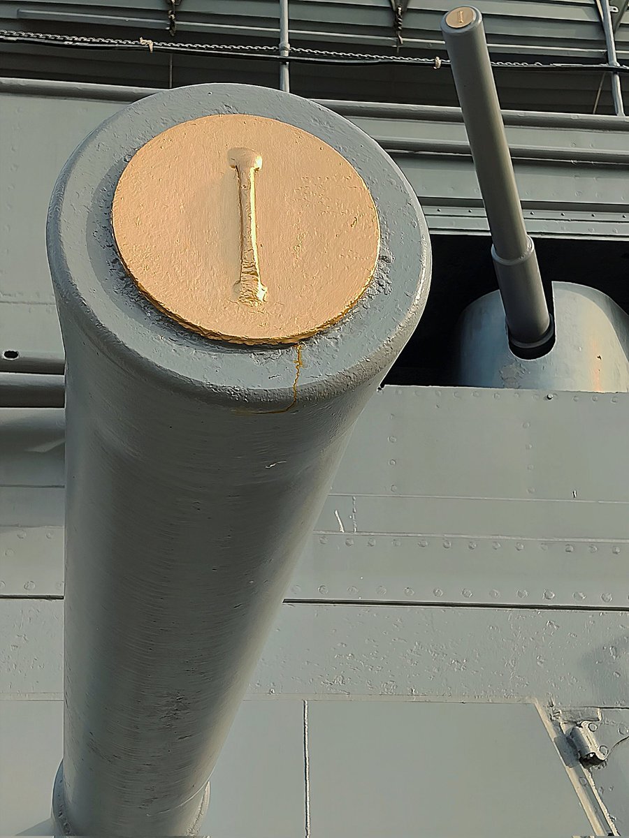 「世も末」と感じる投稿者が増える：政治、社会問題、事件・事故など