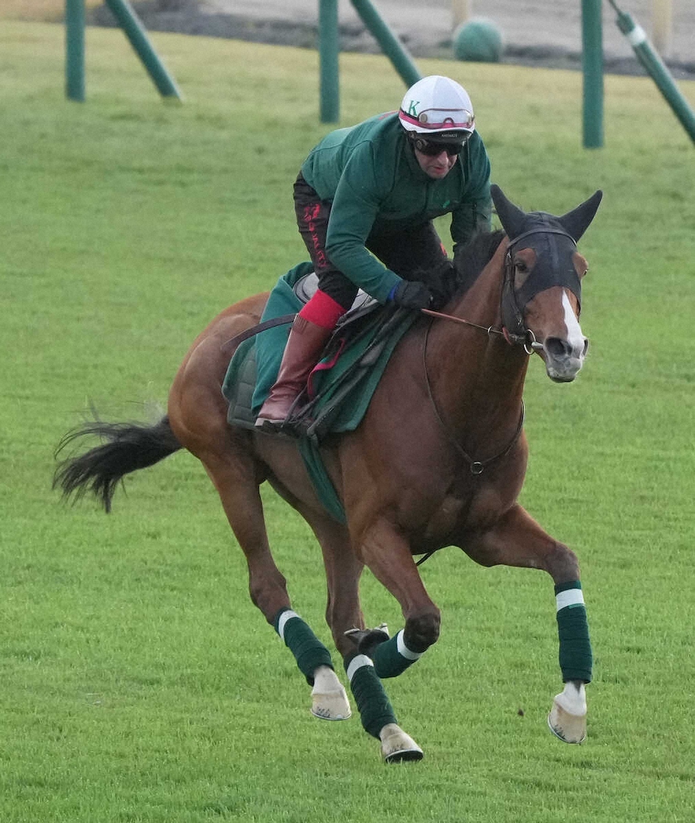 カルティエ賞馬カランダガン、ジャパンカップで圧勝！