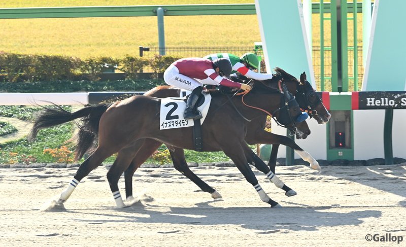 カレイジャスビート、東京競馬で初勝利！ファン歓喜